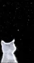 stary night