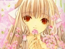 Chii in Flowers