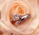 promise...