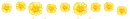yellow flowers