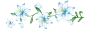 blue flowers