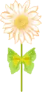 cute flower