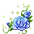 blue roses