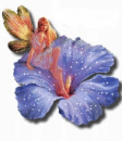 Fairy