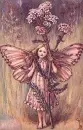 fairies and flowers