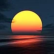 Suns drooping