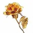 gold rose