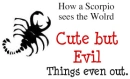how a scorpio sees the world