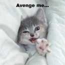 avenge me!