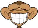 monkey