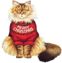 xmas cat