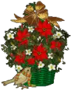 christmas flowers