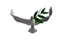 Peace dove