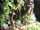 mini waterfall