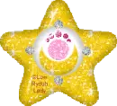 Sailor Moon Star Locket