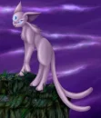 espeon
