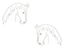 archd horse heads