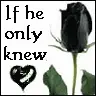 if he only knew