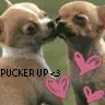 pucker up