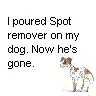 spot remover