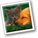 Best friends