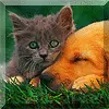 Best friends