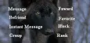 Contact Wolf