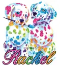 colorful puppies rachel
