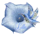 Lille