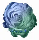 Brenda