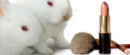 bunny and make up