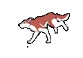 running wolf