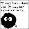 Dust Bunny