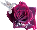 Shirley