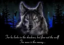 Grey Wolf
