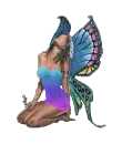 Fairy