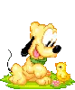 Baby pluto