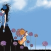  	paradise kiss