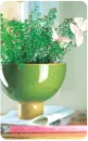 green plant 