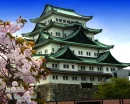 japanese house - nagoya