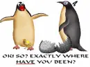 where have you been?