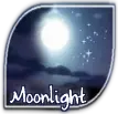 Moonlight