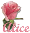 Single Pink Rose with Name