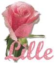 Single Pink Rose with Name
