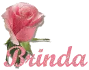 Single Pink Rose with Name