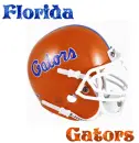 Florida Gators Helmet 
