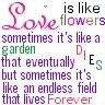 LOVE IS