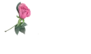 Rose Pen with Glass Text - Prescy