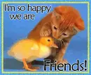 I'm so happy we are Friends!