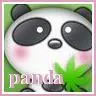 panda avatar